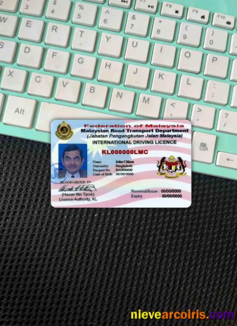 Malaysia driving license version 2 photolook